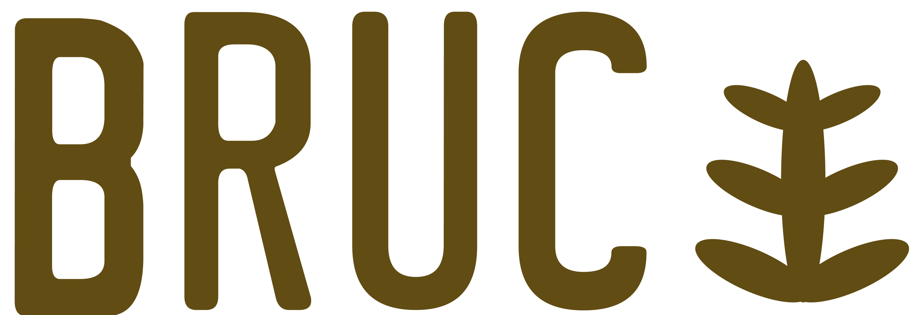 Bruc